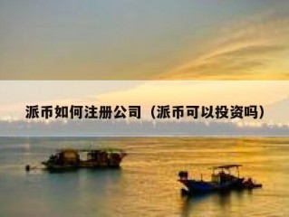 派币如何注册公司（派币可以投资吗）