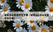 油管怎么弄成中文字幕（油管app怎么设置中文字幕）