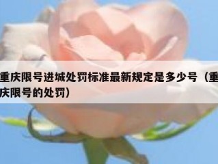 重庆限号进城处罚标准最新规定是多少号（重庆限号的处罚）