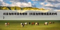 抖音加粉项目有哪些（抖音加粉赚钱是真的吗）