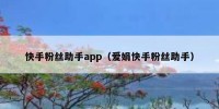 快手粉丝助手app（爱娟快手粉丝助手）