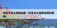 抖音中怎么加粉丝团（抖音怎么加粉丝团的视频）