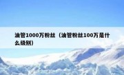 油管1000万粉丝（油管粉丝100万是什么级别）