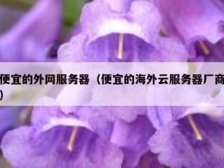便宜的外网服务器（便宜的海外云服务器厂商）