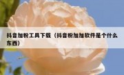 抖音加粉工具下载（抖音粉加加软件是个什么东西）