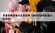 抖音的粉丝是什么意思啊（请问抖音粉丝是什么意思）