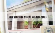 抖音加粉项目怎么做（抖音粉加加）