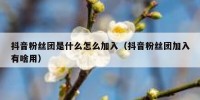 抖音粉丝团是什么怎么加入（抖音粉丝团加入有啥用）