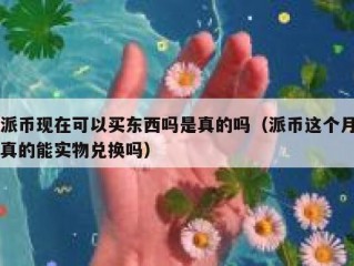 派币现在可以买东西吗是真的吗（派币这个月真的能实物兑换吗）