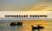 抖音的粉丝是怎么加的（抖音粉丝如何加）