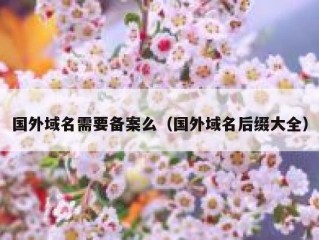国外域名需要备案么（国外域名后缀大全）