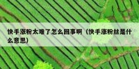 快手涨粉太难了怎么回事啊（快手涨粉丝是什么意思）