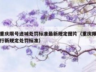 重庆限号进城处罚标准最新规定图片（重庆限行新规定处罚标准）