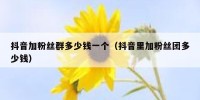 抖音加粉丝群多少钱一个（抖音里加粉丝团多少钱）