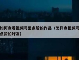如何查看视频号里点赞的作品（怎样查视频号点赞的好友）