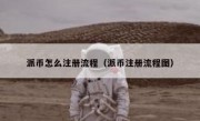 派币怎么注册流程（派币注册流程图）