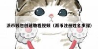 派币钱包创建教程视频（派币注册姓名步骤）
