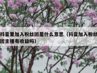 抖音里加入粉丝团是什么意思（抖音加入粉丝团主播有收益吗）