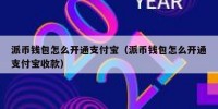 派币钱包怎么开通支付宝（派币钱包怎么开通支付宝收款）