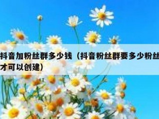 抖音加粉丝群多少钱（抖音粉丝群要多少粉丝才可以创建）