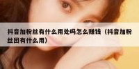 抖音加粉丝有什么用处吗怎么赚钱（抖音加粉丝团有什么用）