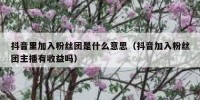 抖音里加入粉丝团是什么意思（抖音加入粉丝团主播有收益吗）