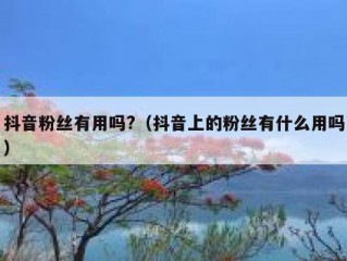 抖音粉丝有用吗?（抖音上的粉丝有什么用吗）
