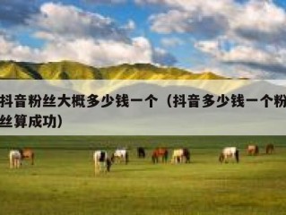 抖音粉丝大概多少钱一个（抖音多少钱一个粉丝算成功）