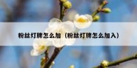 粉丝灯牌怎么加（粉丝灯牌怎么加入）