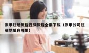 派币注册流程视频教程全集下载（派币公司注册地址在哪里）