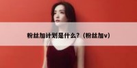 粉丝加计划是什么?（粉丝加v）