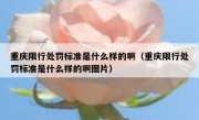 重庆限行处罚标准是什么样的啊（重庆限行处罚标准是什么样的啊图片）