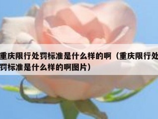 重庆限行处罚标准是什么样的啊（重庆限行处罚标准是什么样的啊图片）
