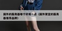 国外的服务器哪个好用一点（国外便宜的服务器推荐品牌）