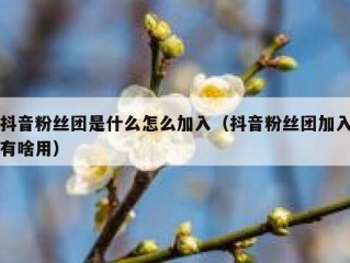 抖音粉丝团是什么怎么加入（抖音粉丝团加入有啥用）