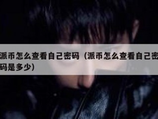 派币怎么查看自己密码（派币怎么查看自己密码是多少）