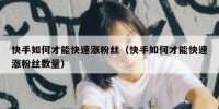 快手如何才能快速涨粉丝（快手如何才能快速涨粉丝数量）
