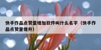 快手作品点赞量增加软件叫什么名字（快手作品点赞量提升）