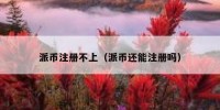 派币注册不上（派币还能注册吗）