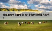 抖音加粉项目有哪些（抖音加粉赚钱是真的吗）