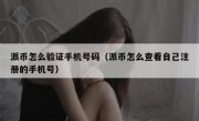 派币怎么验证手机号码（派币怎么查看自己注册的手机号）