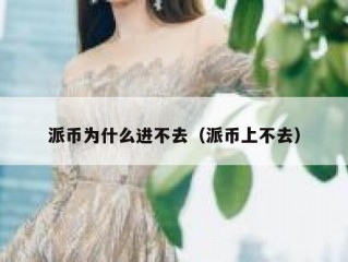 派币为什么进不去（派币上不去）