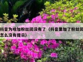 抖音为啥加粉丝团没有了（抖音里加了粉丝团怎么没有提示）