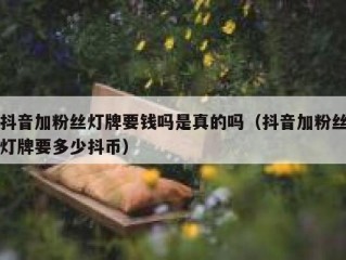 抖音加粉丝灯牌要钱吗是真的吗（抖音加粉丝灯牌要多少抖币）