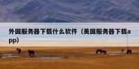 外国服务器下载什么软件（美国服务器下载app）