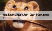 抖音上的粉丝是怎么加的（在抖音怎么加粉丝）