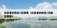 抖音里的粉丝+在哪里（抖音里的粉丝+功能在哪里）