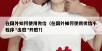 在国外如何使用微信（在国外如何使用微信小程序"出庭"开庭?）