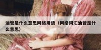 油管是什么意思网络用语（网络词汇油管是什么意思）