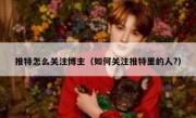 推特怎么关注博主（如何关注推特里的人?）